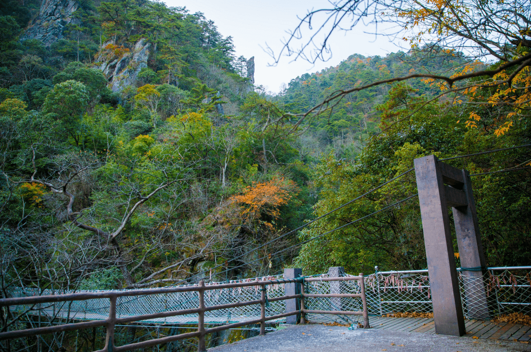 错峰游三爪仑有些地方有些景就得错开时间去