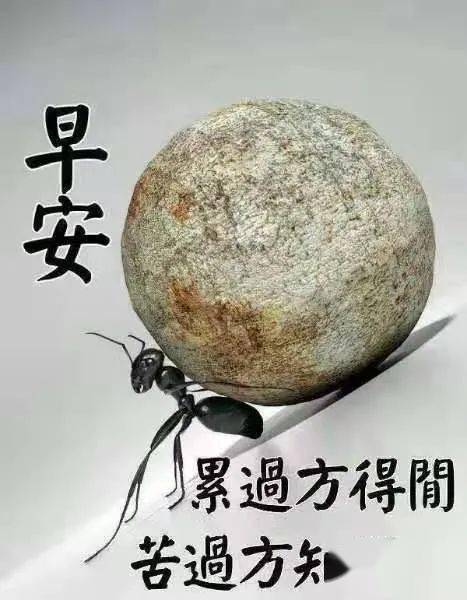 早安!感恩有你,又是美丽的一天!