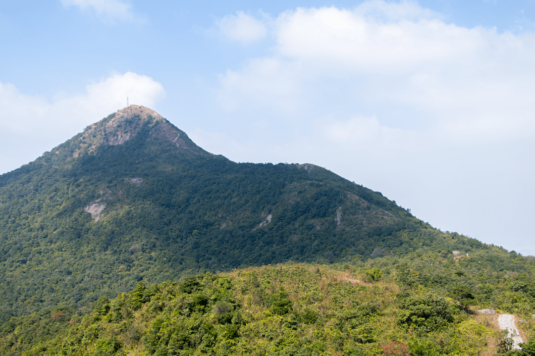 深圳十峰之梅沙尖2021年01月24日山海同行登顶深圳十峰之一梅沙尖盐田