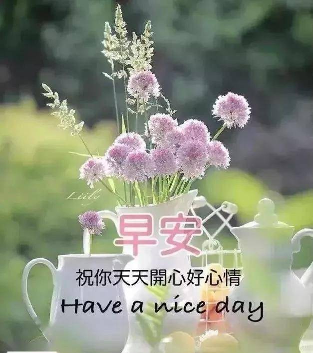 一句问候,一片温馨,一颗真心,早安,愿好运常伴