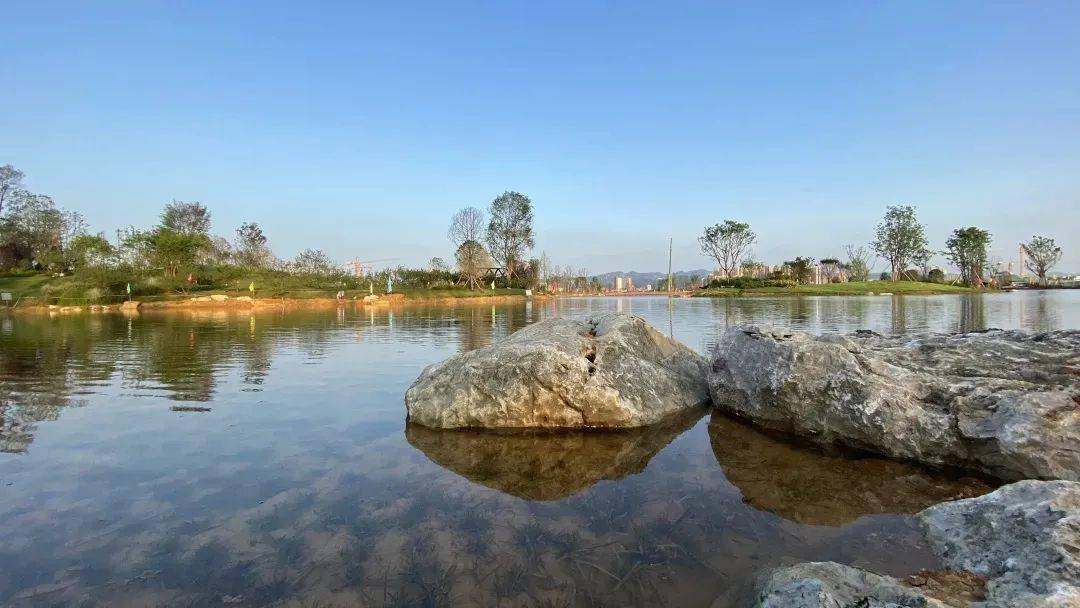 龙泉驿东安湖公园新景:春赏桃花,夏看荷田