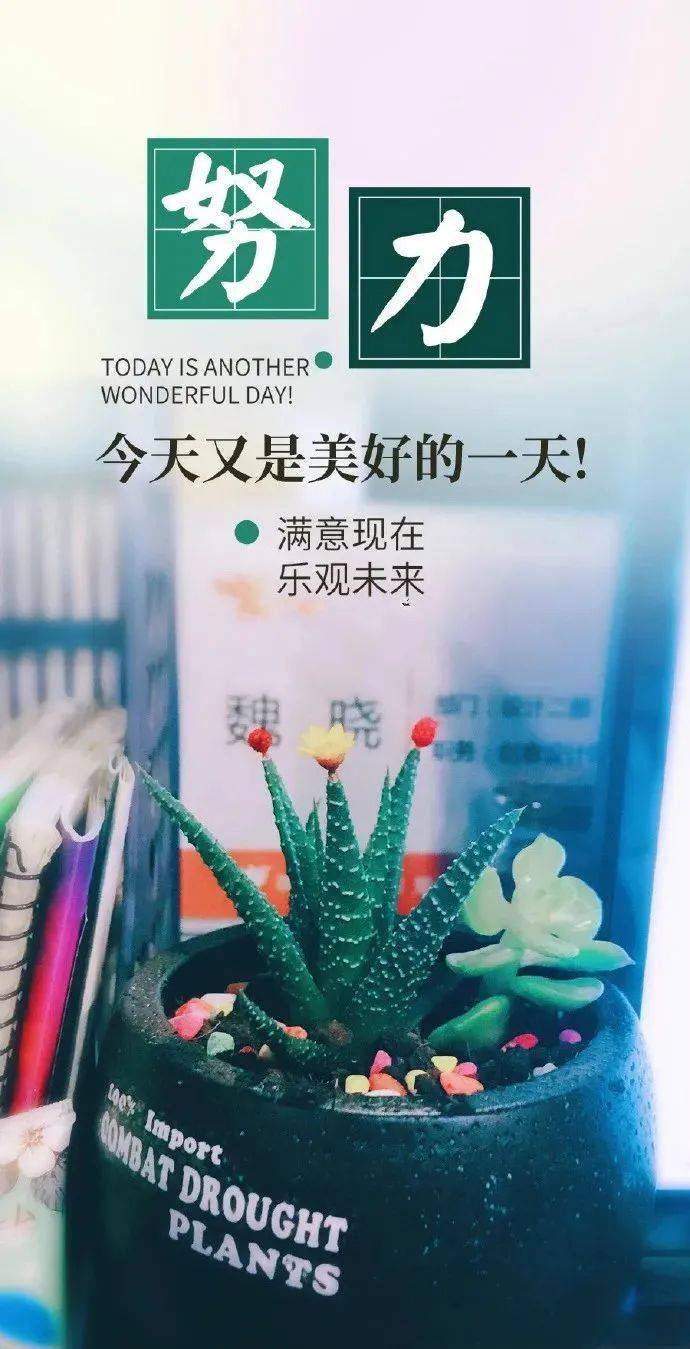 每日一句正能量人生感悟