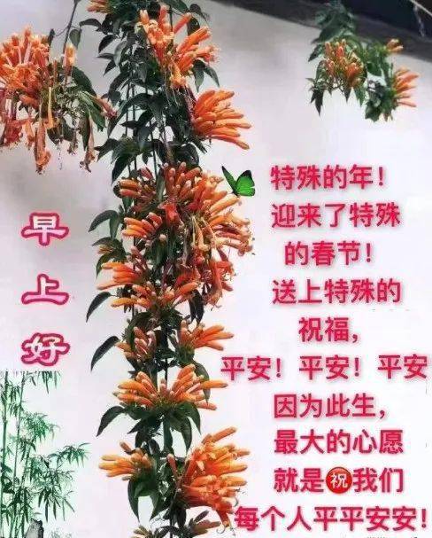 2021春节,特殊的年,希望平平安安