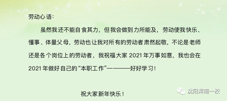 浑南一校劳动小能手之韩阔城家务劳动感悟