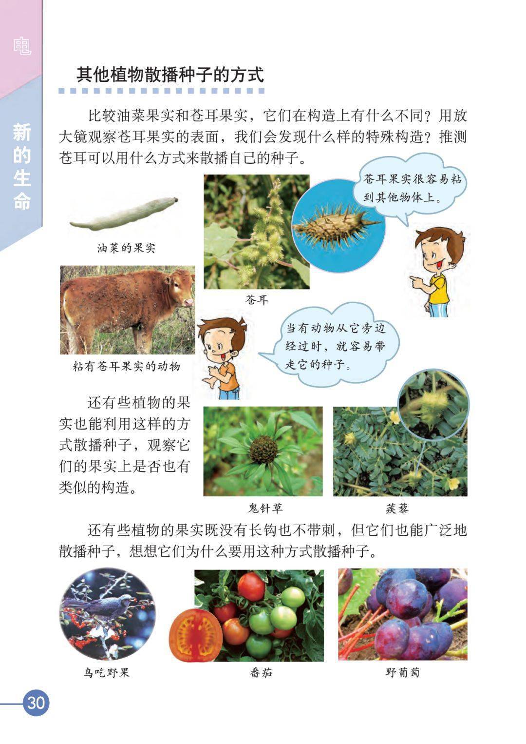 教科版四年级科学下册电子课本