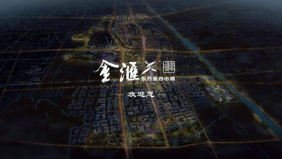 家充分利用东方美谷产业集聚中心平                    金汇投资兴业