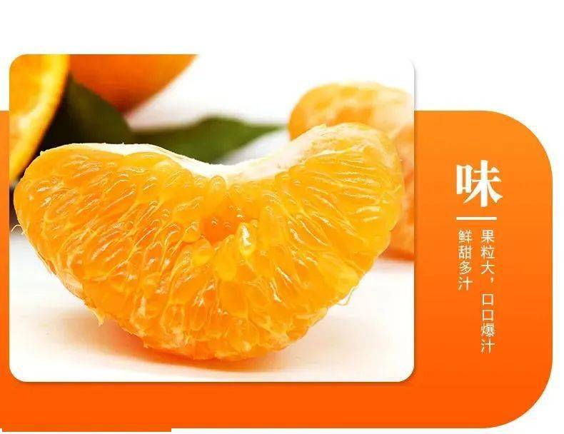 【囤好货·过新年】【顺丰包邮·春见耙耙柑】29.