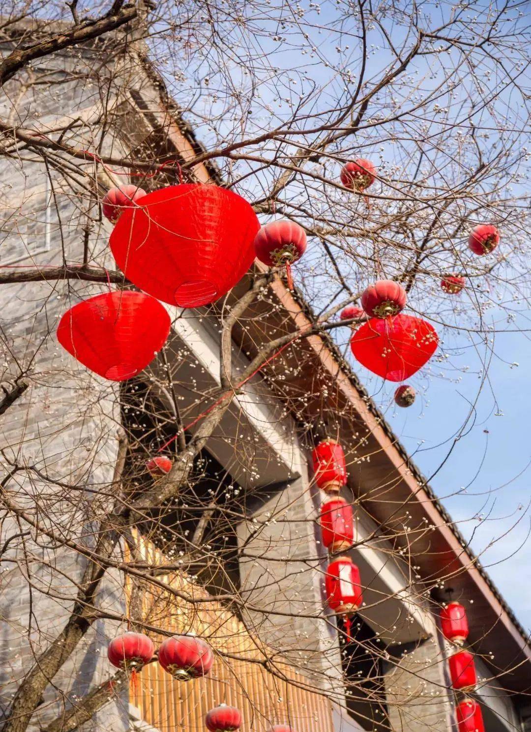 每逢过年之时,古城内外,大红的灯笼高高挂起,红红火火,年味十足.