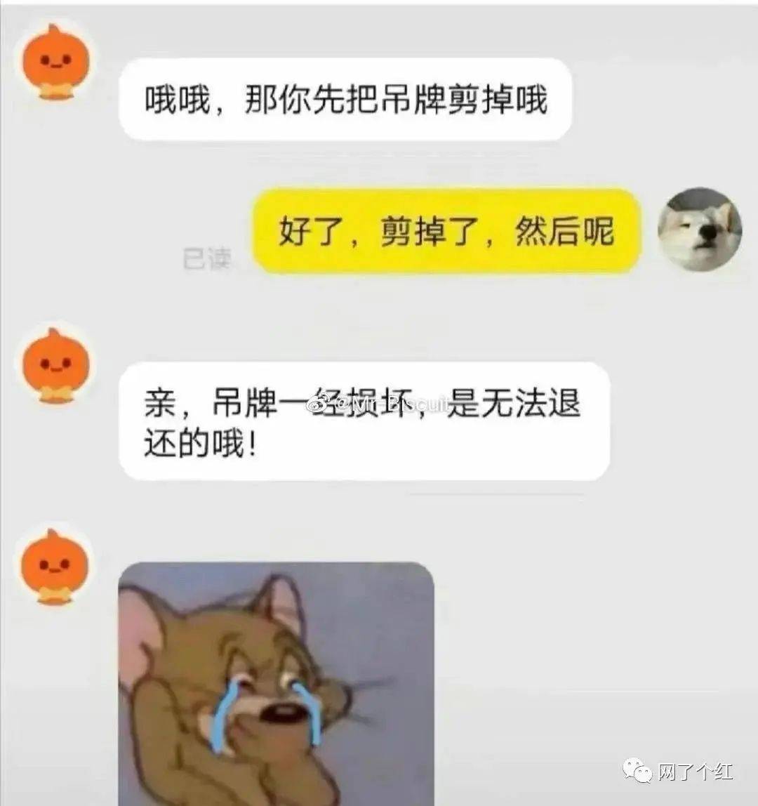 买东西买了啥?买了个寂寞!