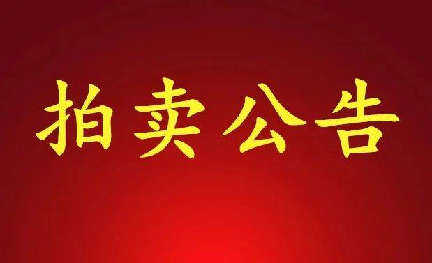 拍卖公告大理海云居七套别墅及剑川金水年华三套铺面公开拍卖啦