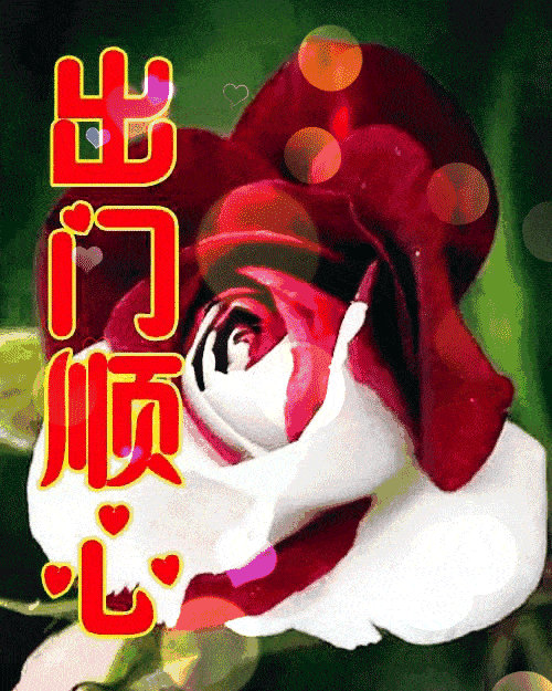 早上好,一曲《真心的祝福》送给我的朋友,祝你幸福相伴!