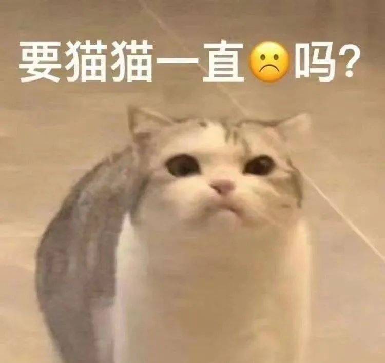 表情包 | 年轻不嗨,老年痴呆