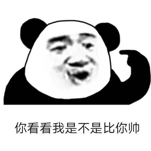 搞笑沙雕熊猫头表情包