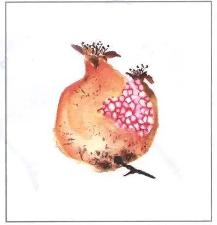 图文教程学国画之石榴与石榴花画法