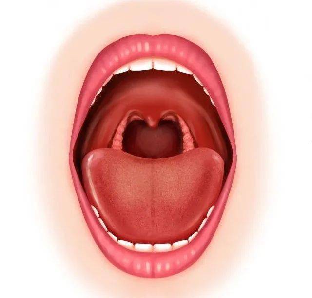 【杏林问答】平时观察舌头益处何在?