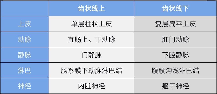 图(10):齿状线上下解剖结构对比