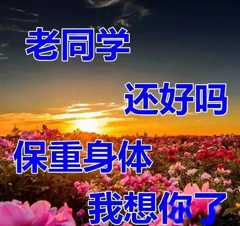 2021冬日清晨免打字老同学问候祝福语图片,超好看的老