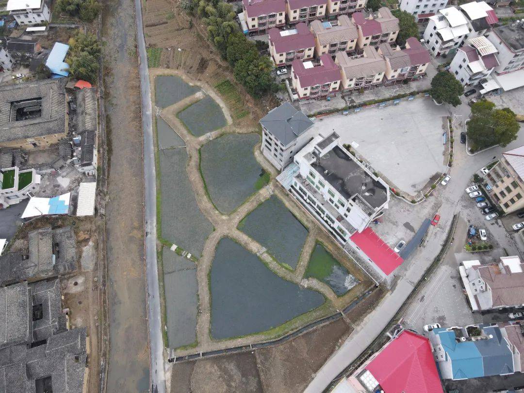 中溪村湿地