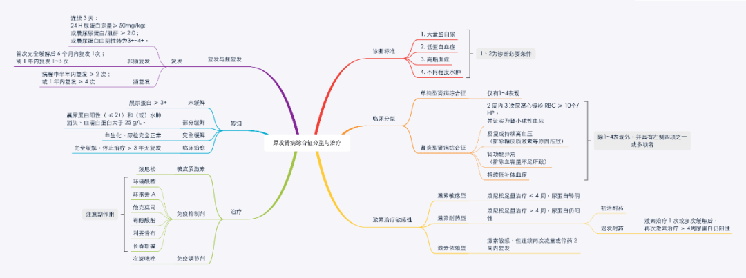 儿童肾病综合征思维导图下