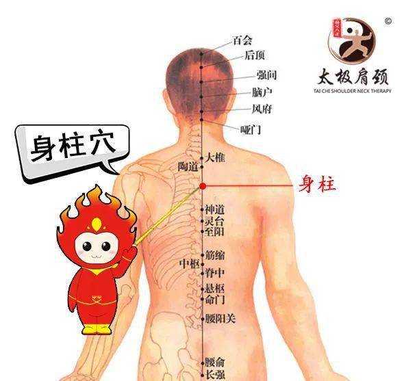 身柱定位身柱在人体中的位置也是这样的,它在后背两个肩胛骨的中间,上