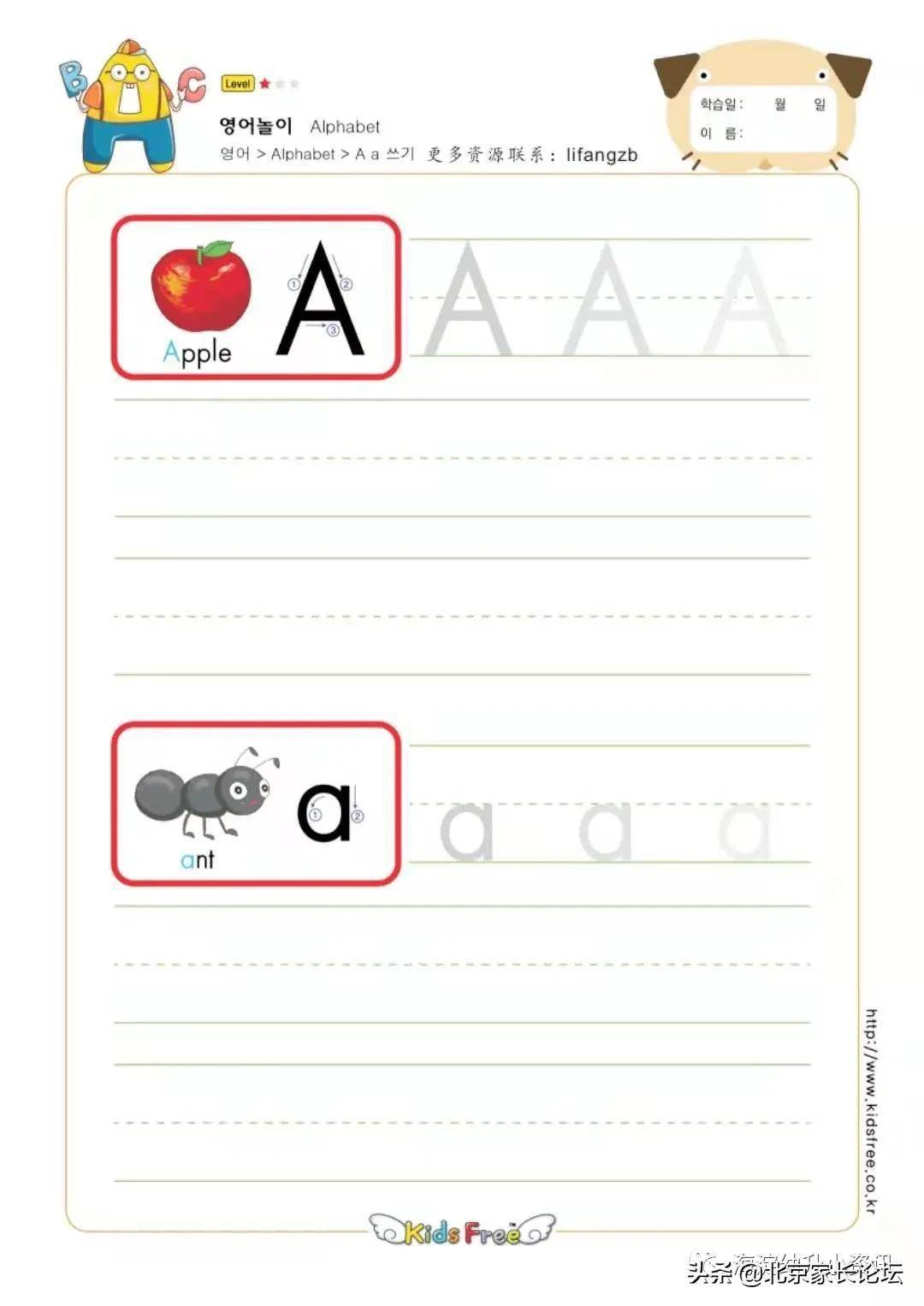 ae幼小英文字母书写规则描红练习可打印