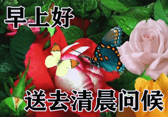 1月30日最漂亮早上好动态表情图片大全,早晨好动图美图大全