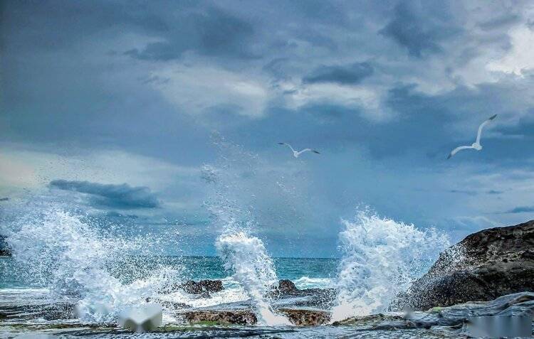 张立新 大连73 【北京民谣】文/原驰 注明出处除外 编辑/原驰图片