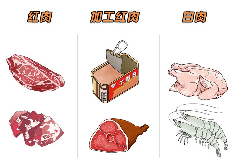 红肉(加工红肉也算)和白肉大体可以分为在众多肉类当中九叔今天就来