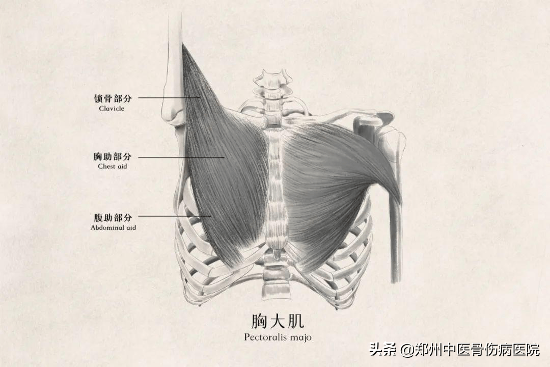 颈椎病反复治疗总是不好?可能是忽略了这一点