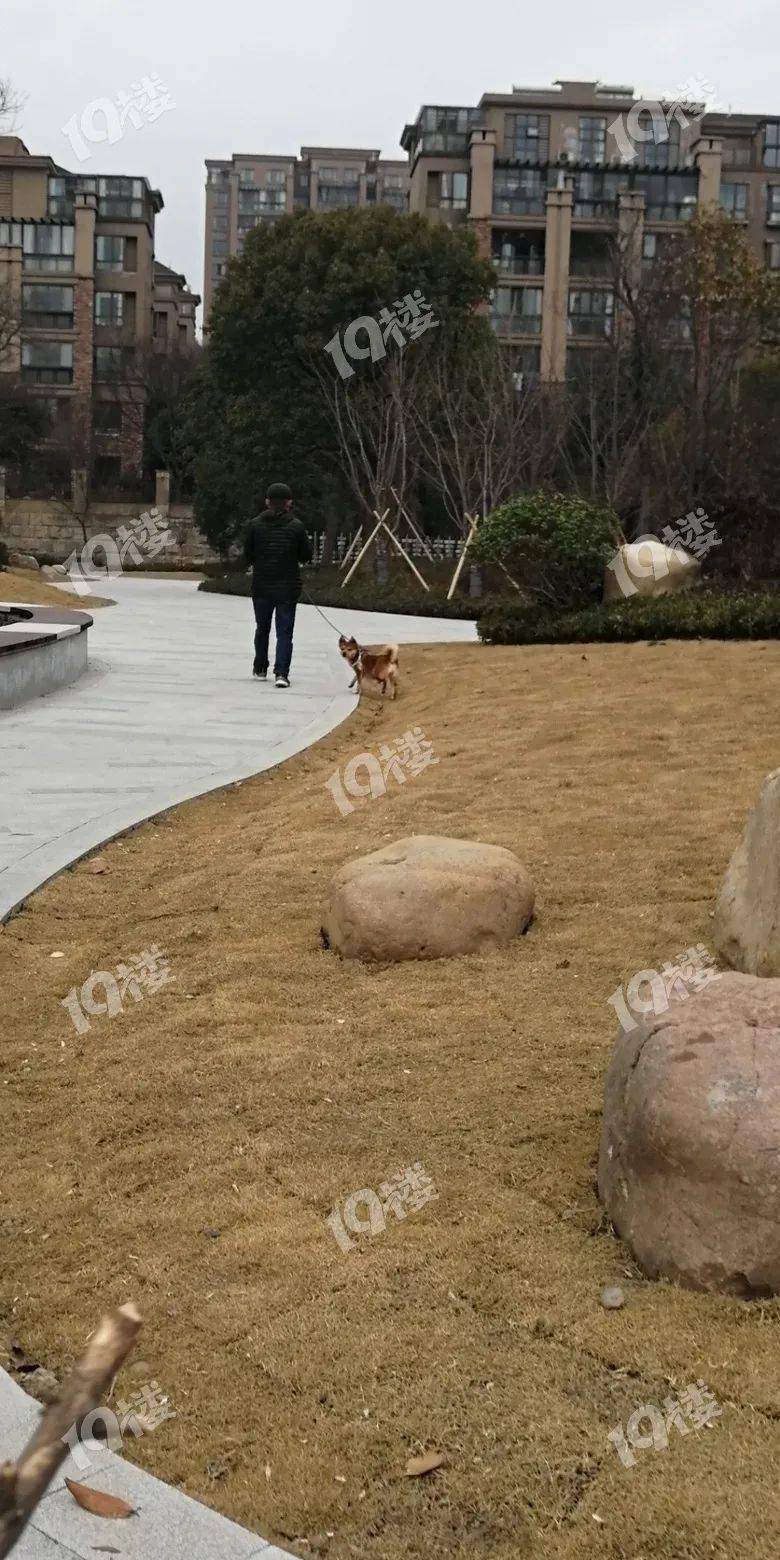狗屎狗屎还是狗屎!在凌公塘公园绿道看到这一幕 真的太煞风景了