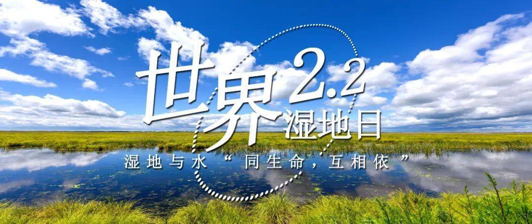 2.2世界湿地日:"生态湿地 最美东升"主题线上摄影展