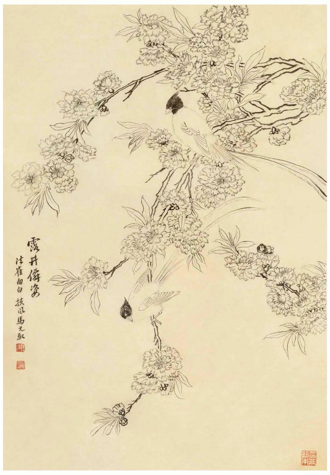 陆抑非白描花鸟课徒稿53图