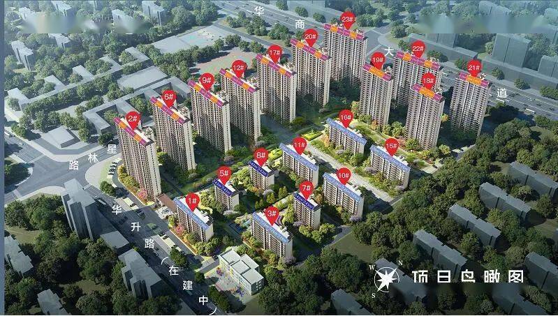 建业·世和府丨团圆可期,归家世和府