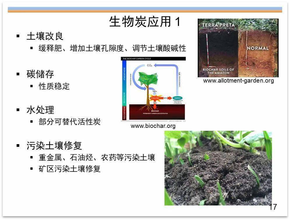 专家视角生物炭及改性生物炭在土壤改良水处理和环境修复中的应用