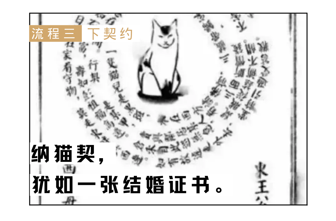找人好好地画一张"纳猫契"挑好了日子之后《象吉备要通书(这个