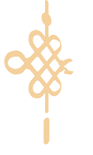 322_536 竖版 竖屏