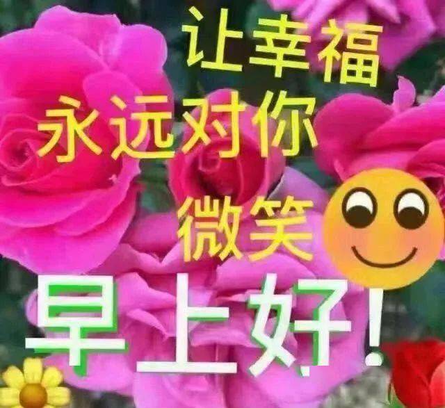 2021朋友圈清晨暖心祝福问候图片,唯美鲜花早上好温馨