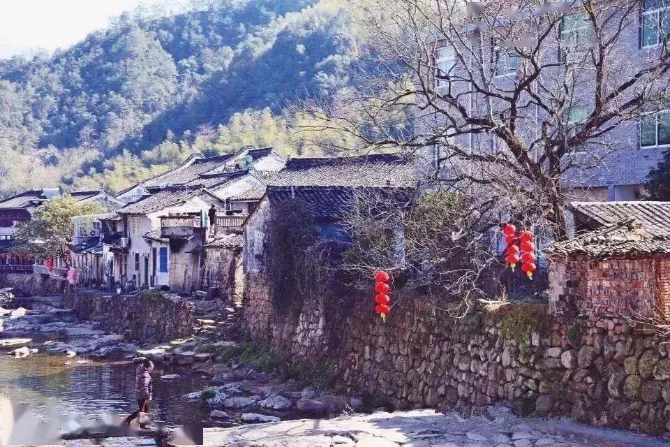 送你一朵小梅花,抖音网红梅花谷赏梅,红遍山野!
