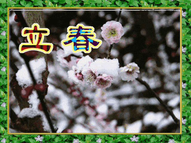 640_480gif 动态图 动图