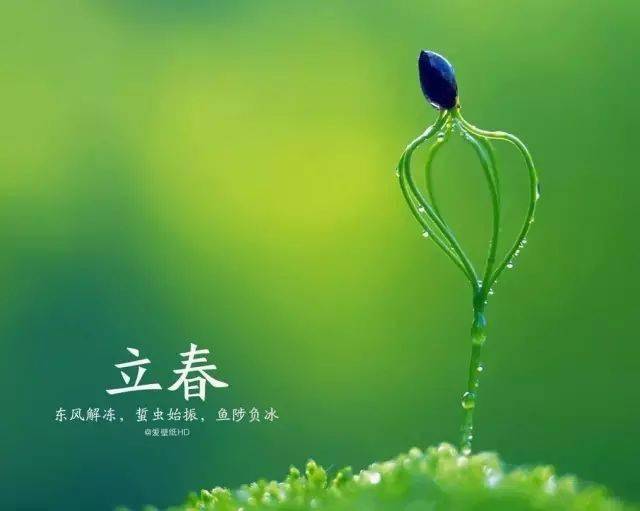 立春雨水到,早起晚睡觉.要想庄稼好,一年四季早.一场春风对一场秋雨.