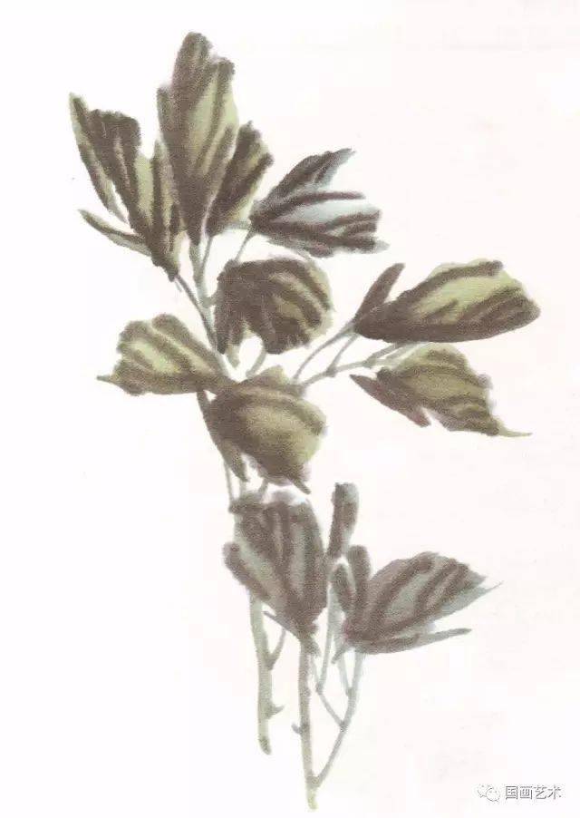 写意牡丹叶子的画法_花头