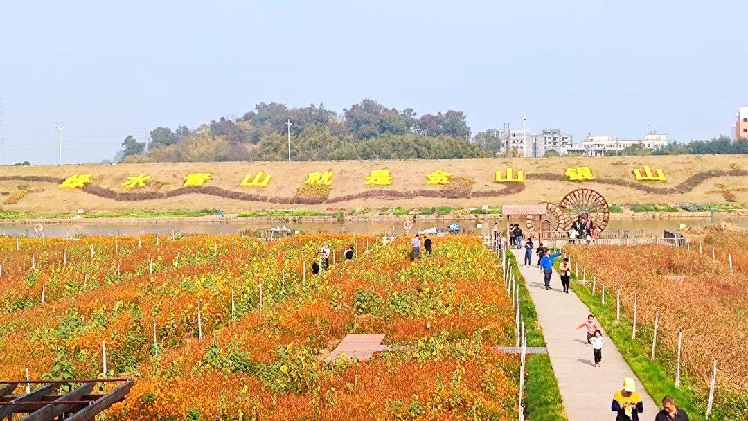 绝美花海,古村风情,山水美景…搭上"百里芳华专线"游乡村,春节走起!