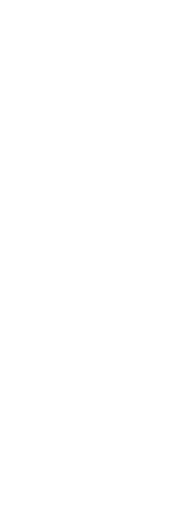 壁纸 植物 蕨类 188_568