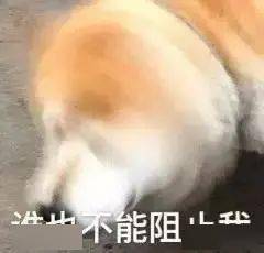 一起来看看~废话不多说大家都可以领哦不仅是留甬人员的福利消费券