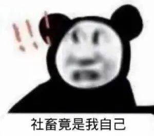 沙雕表情包:睡了,有事托梦