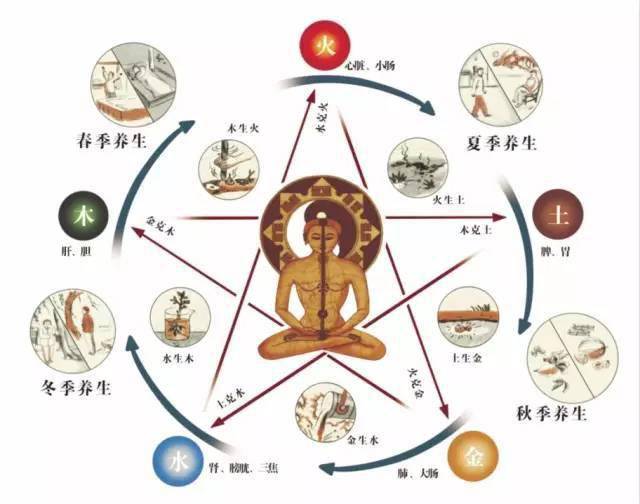 中医入门基础知识