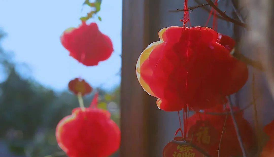 壁纸 灯笼 花 桌面 1080_619