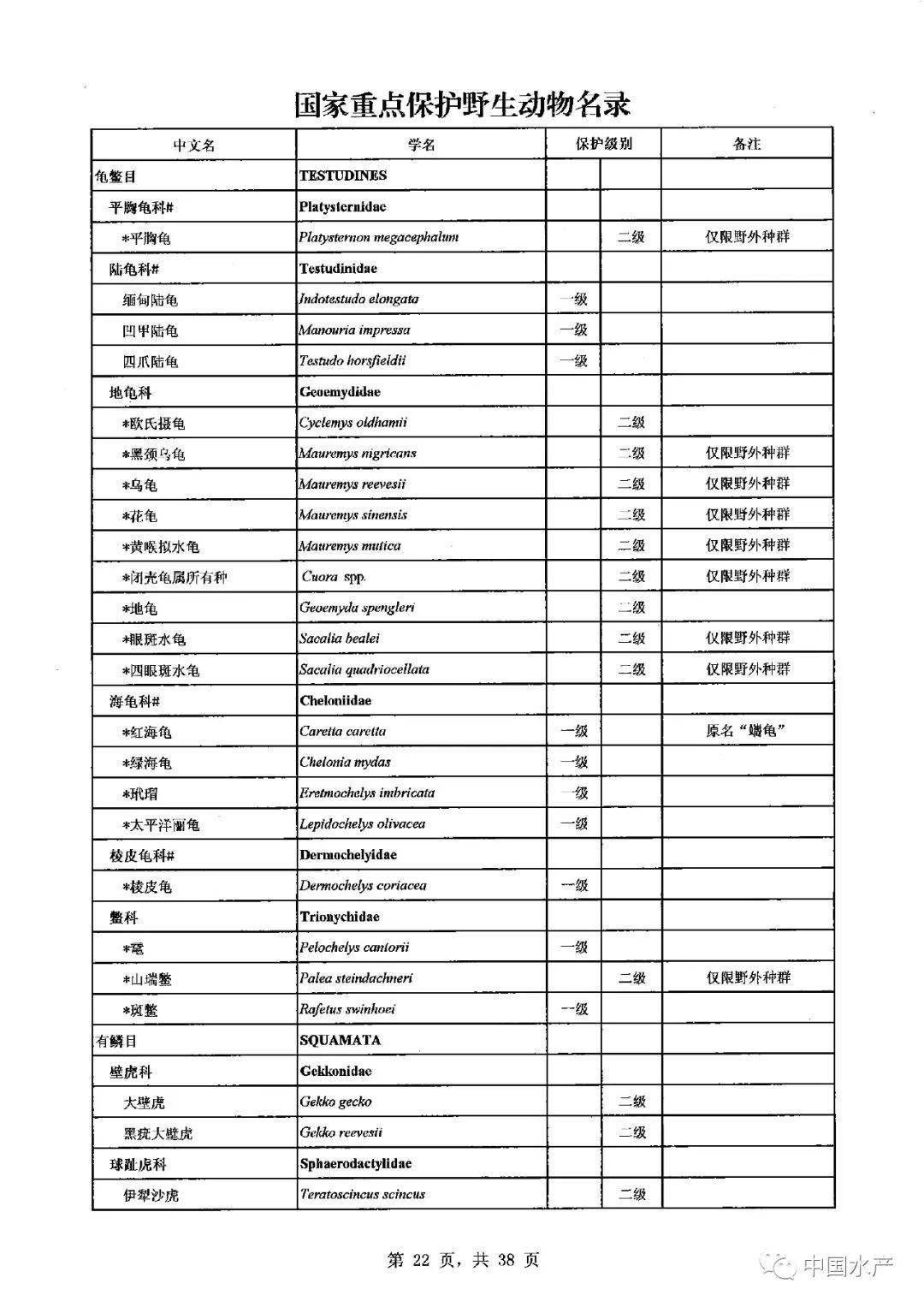 国务院最新批准《国家重点保护野生动物名录》正式公布