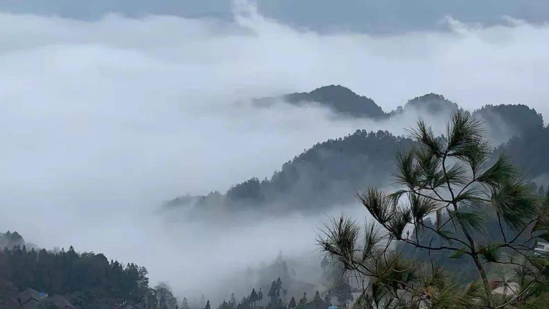 除了雪景大雾弥漫的小高山也别有一番风味