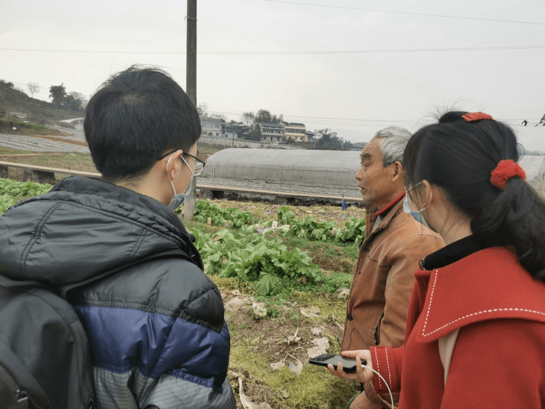 寒假社会实践科技助力新农业产业打造新农村渝见山水实践团渝西蔬菜